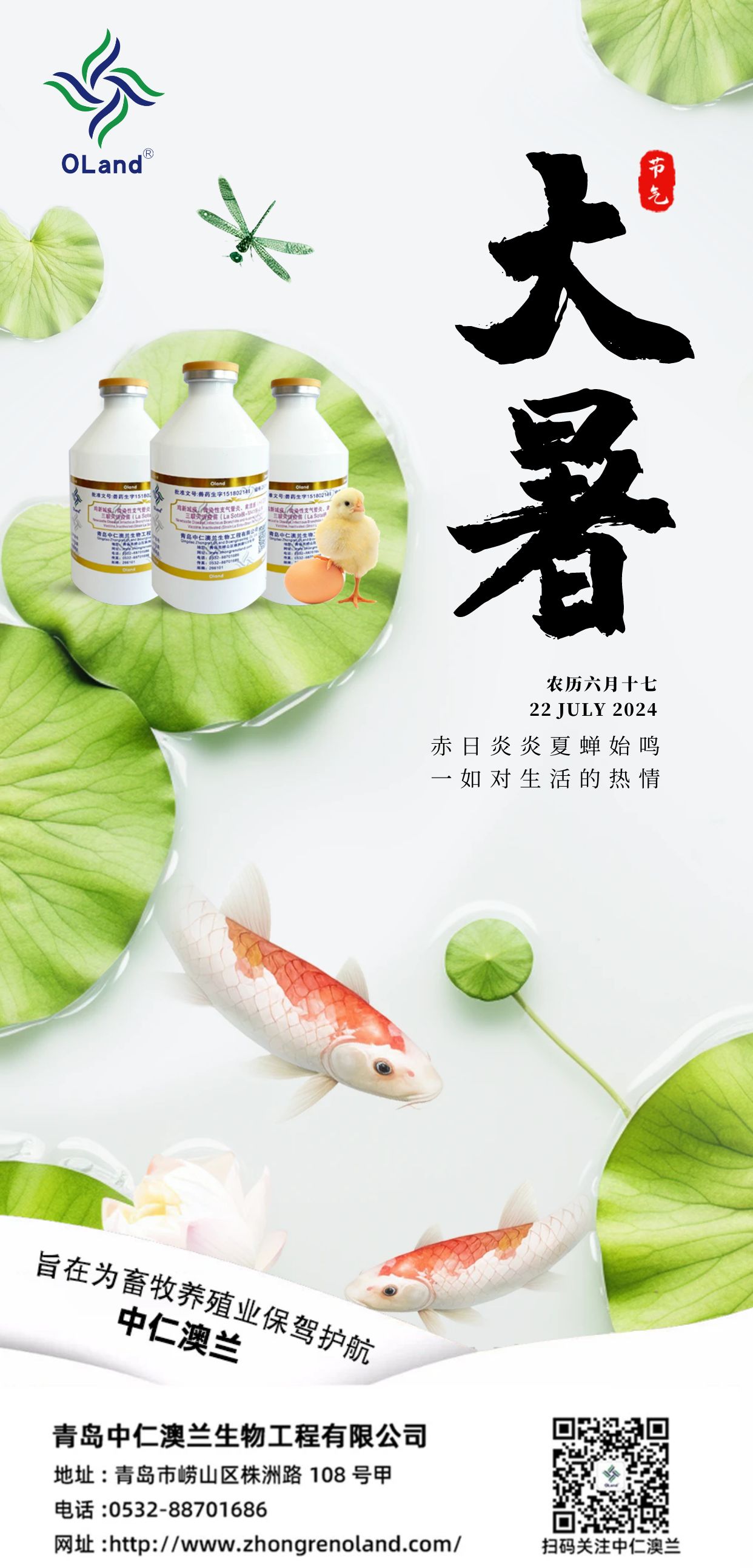大暑節氣問(wèn)候手機海報.jpg
